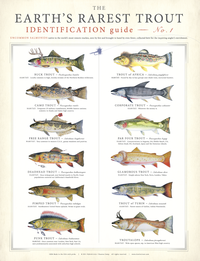 USA Patriotic Trout Fishing - Trout - Posters and Art Prints