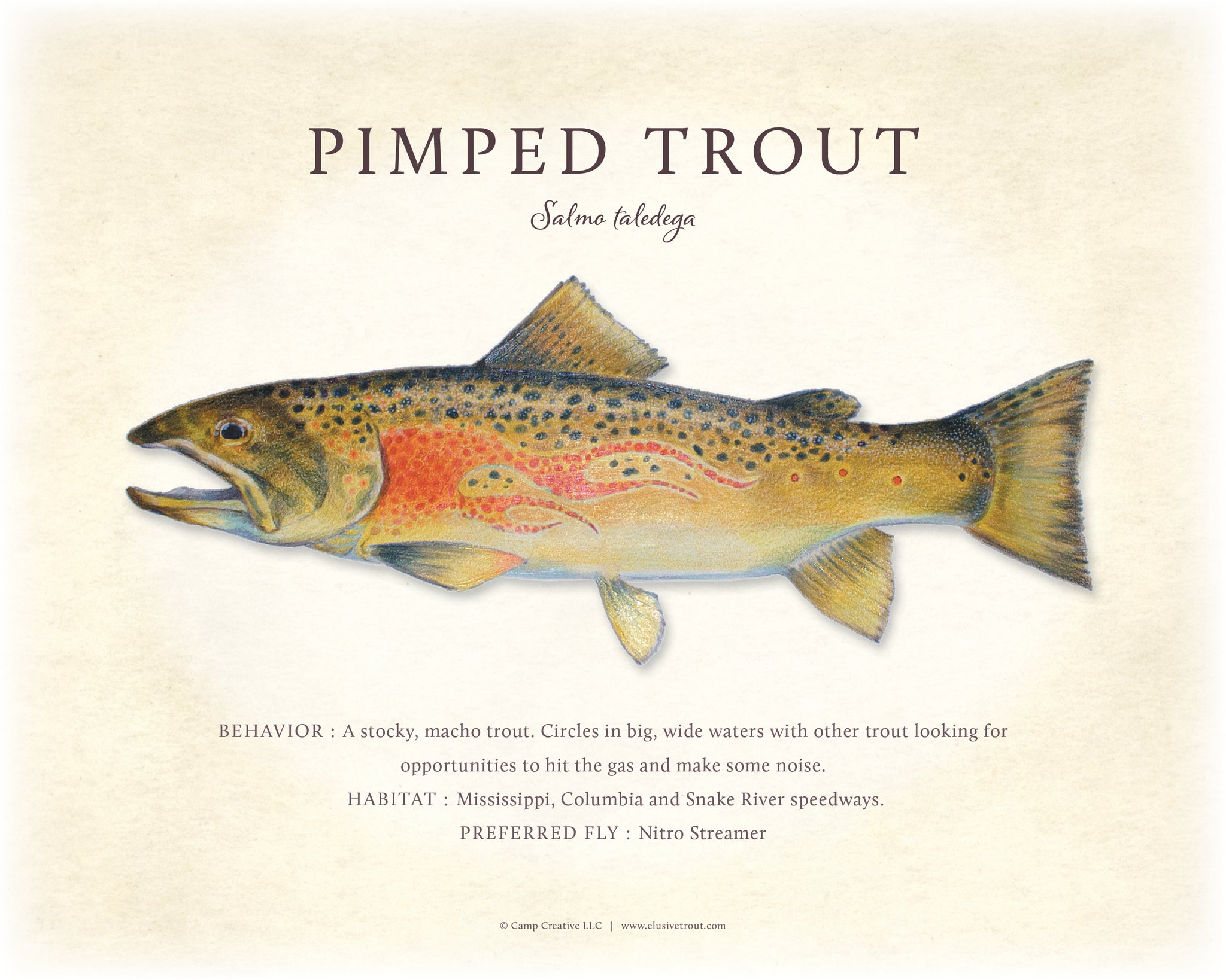 Pimped Trout Giclee Print