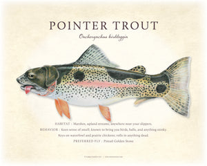 Pointer Trout Giclee Print