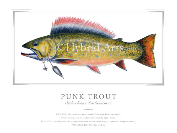 Punk Trout – The World's Most Elusive Trout